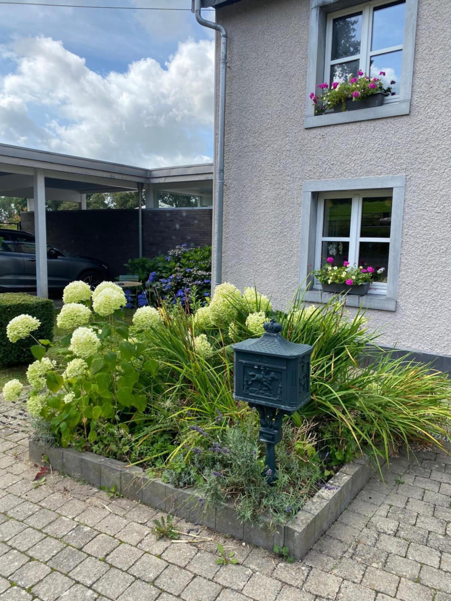 Hotel Les Sansonnets Vaux-sur-Sure Exterior foto